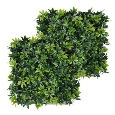 Biljke s umjetnim zelenim šimširovim biljem Faux Boxwood Trave Paneli