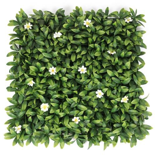 umjetna živica južna Afrika na otvorenom