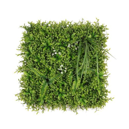 Boxwood zidna travnata ploča biljni zeleni zid